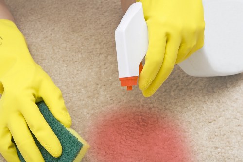 Pet stain odour removal in Longford carpet cleaning process