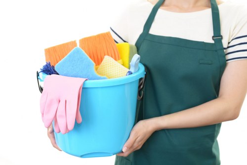 Professional upholstery cleaning in Longford on a sofa
