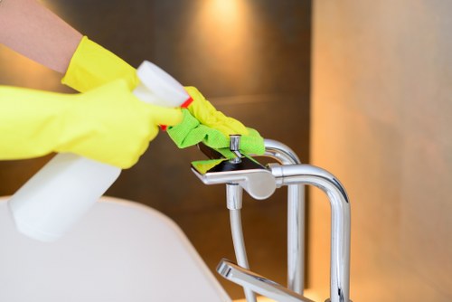 Professional steam carpet cleaning in a Longford home