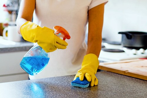 Longford upholstery care and sofa maintenance service