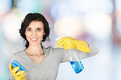 Different curtain cleaning techniques for Longford properties