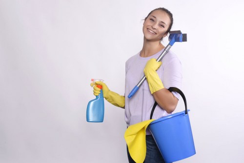 Hot water extraction carpet cleaning process in Longford