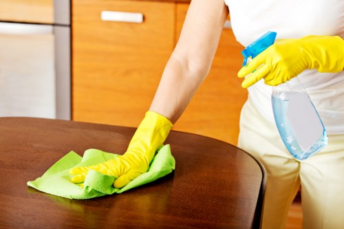 Deep carpet cleaning for homes and businesses in Longford