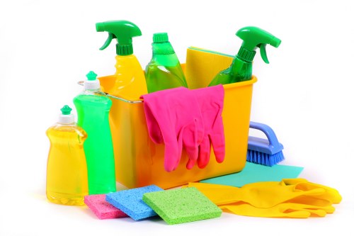 Deep cleaning for pet stains on upholstery in Longford